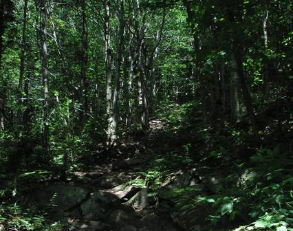 LT/AT to Stratton Mtn